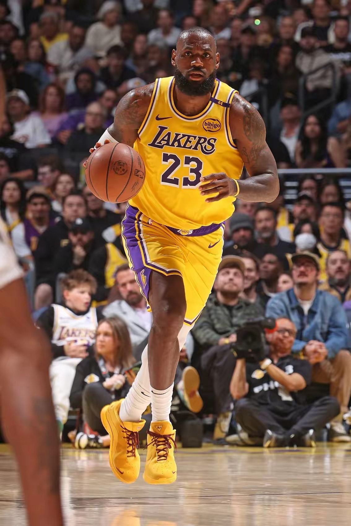 詹姆斯回归赛场,势不可挡首场状态亮眼,拜仁观众沸腾! 詹姆斯回归赛场,势不可挡首场状态亮眼,拜仁观众沸腾!